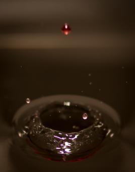 Free Stock Photo of Water Ripple