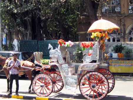 Free Stock Photo of Horse Carriage