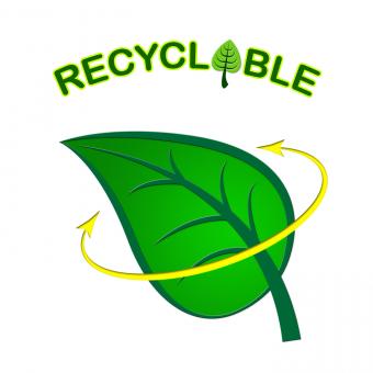 Free Stock Photo of Recyclable Leaf Indicates Earth Friendly And Eco