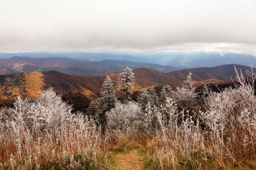 Free Stock Photo of Frosted Autumn Smoky Mountains