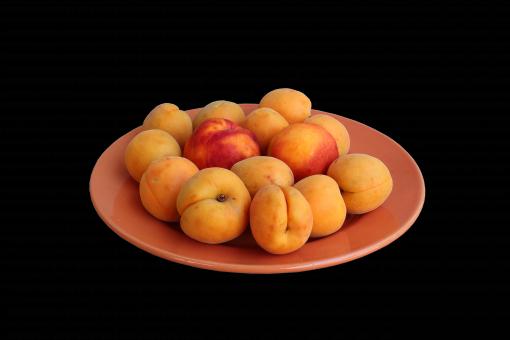 Free Stock Photo of Fresh Figs