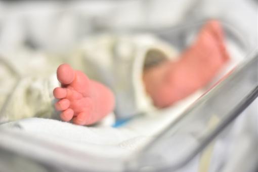 Free Stock Photo of Newborn Feet Closeup