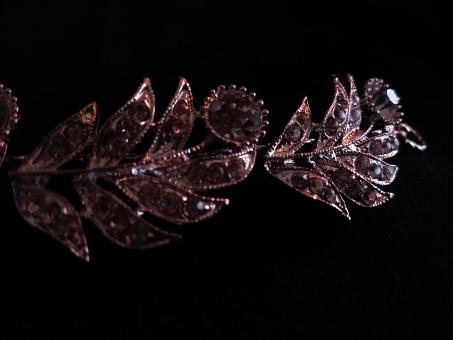 Free Stock Photo of Diamond Leaf Jewelry