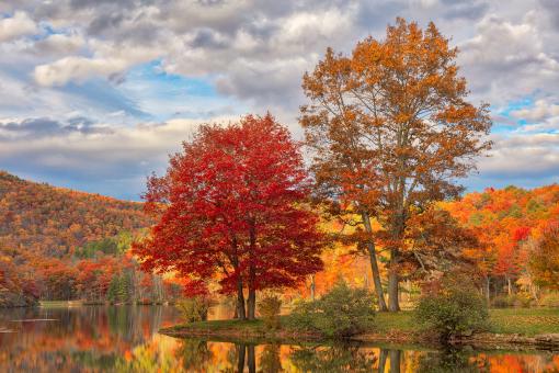 Free Stock Photo of Autumn Foliage of Sherando Lake