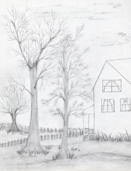 Free Stock Photo of Hand Drawn Trees and House