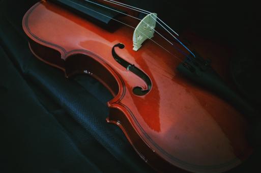 Free Stock Photo of Violin Instrument
