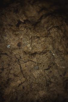 Free Stock Photo of Earthly Rock Texture