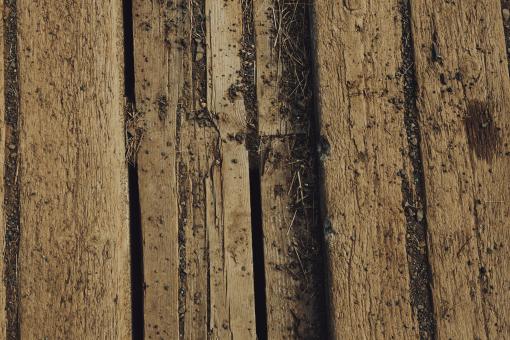 Free Stock Photo of Old Worn Wood Surface