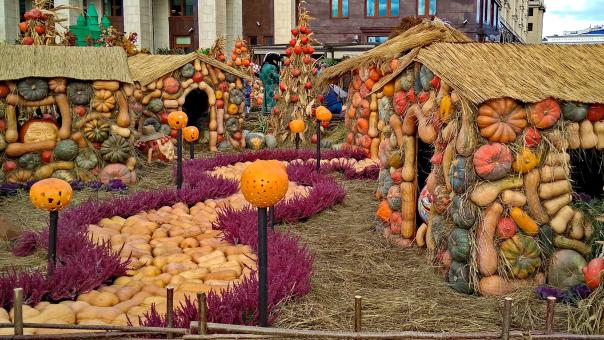 Free Stock Photo of Halloween Village in Moscow