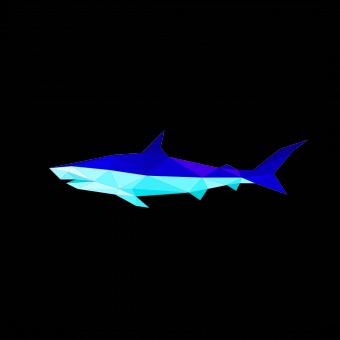 Free Stock Photo of Polygonal Shark