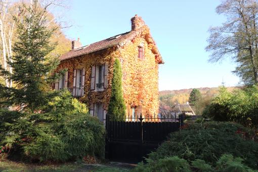 Free Stock Photo of Virginia creeper to enhance this house