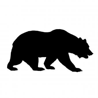 Free Stock Photo of Bear Silhouette