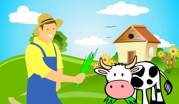 Free Stock Photo of Farmer Feeding Cow