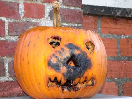 Free Stock Photo of I'm afraid I'll be rotten for 2019 Halloween...