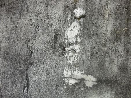 Free Stock Photo of Grunge wall texture background