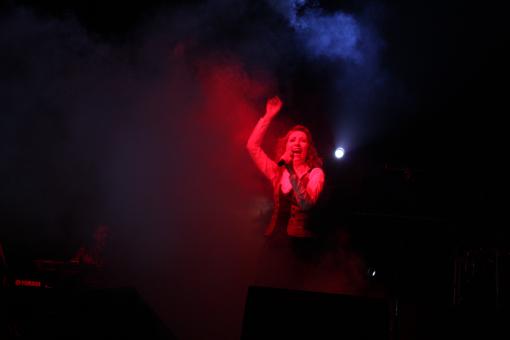 Free Stock Photo of Singer Performing at Concert