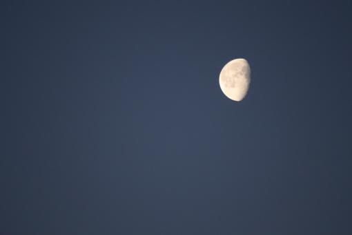 Free Stock Photo of Lonely moon...