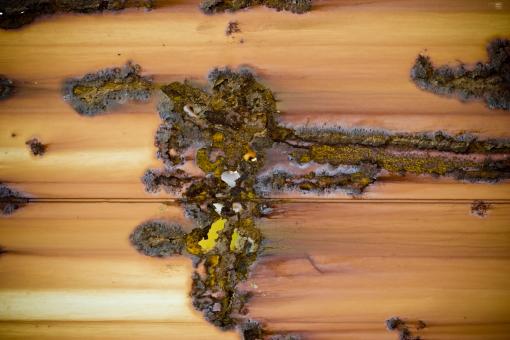 Free Stock Photo of Rusted Metal Background