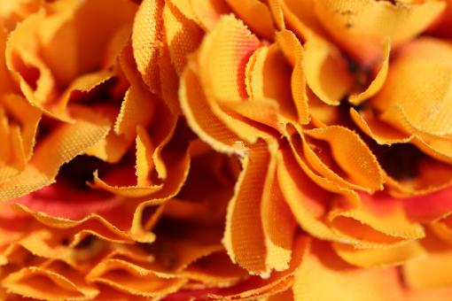 Free Stock Photo of Fabric flower in a cemetery
