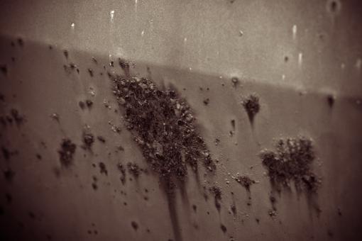 Free Stock Photo of Corroded Car Door
