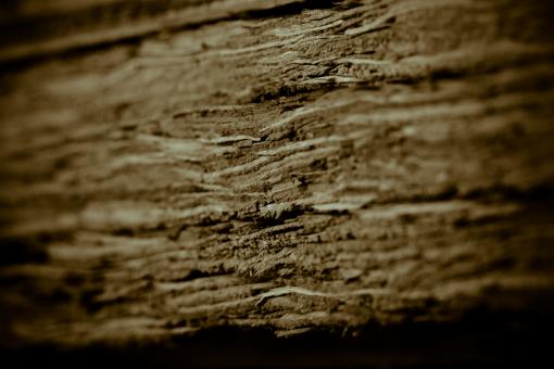 Free Stock Photo of Old Dark Wood
