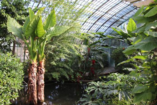 Free Stock Photo of Old greenhouse in Paris