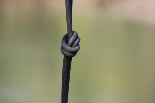 Free Stock Photo of Make a knot, so you do not forget...