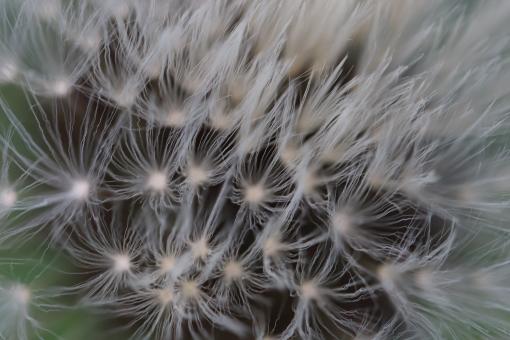Free Stock Photo of Strange texture... Isn't it??
