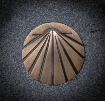 Free Stock Photo of Pilgrim Shell