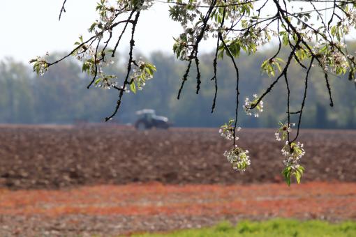 Free Stock Photo of Spring landscape in the country
