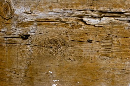 Free Stock Photo of Damaged Timber Texture
