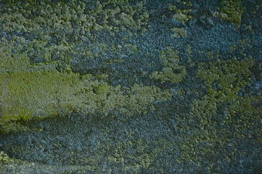 Free Stock Photo of Rough Peeling Rock Surface
