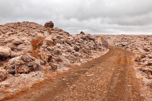Free Stock Photo of Rugged Moss Cream Trail
