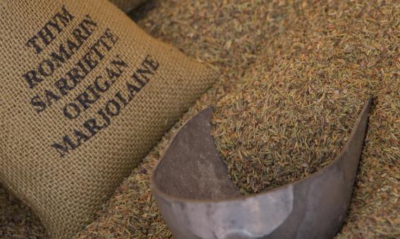 Free Stock Photo of Market - Mix of Spices