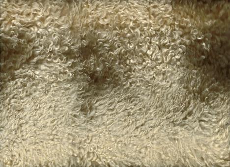 Free Stock Photo of Wool Fabric Background