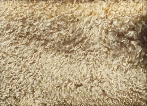 Free Stock Photo of Wool Texture