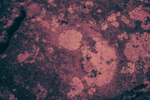 Free Stock Photo of Pink Volcanic Stone Texture