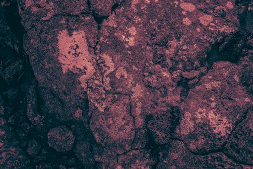 Free Stock Photo of Pink Stone Background