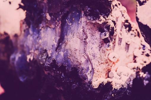 Free Stock Photo of Abstract Violet Rock Crystal Surface