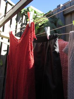 Free Stock Photo of Wet clothes hanging on laundry line