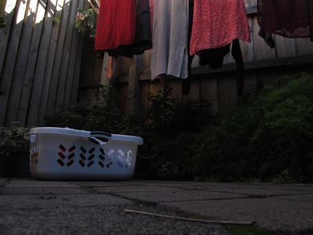 Free Stock Photo of Wet clothes and laundry basket