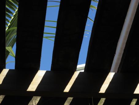 Free Stock Photo of Shadow in Greenhouse Roof