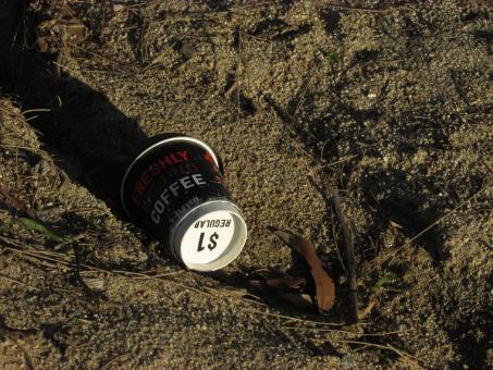 Free Stock Photo of Rubbish on a beach