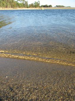 Free Stock Photo of Calm lake water