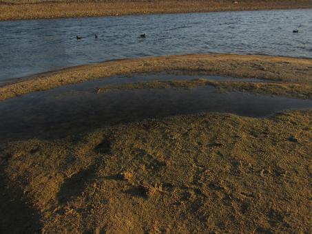 Free Stock Photo of Calm lake water