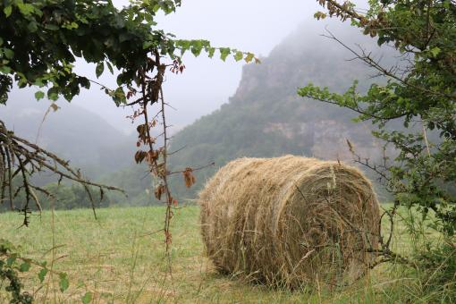 Free Stock Photo of Hay bale in the countryside