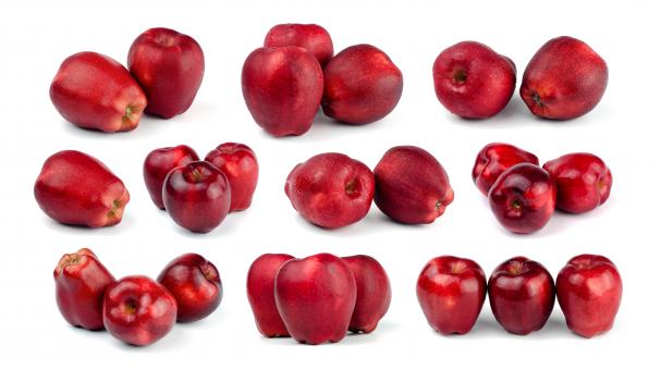 Free Stock Photo of Collage of Fresh Red Apples