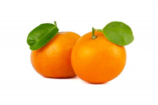 Free Stock Photo of Fresh Ripe Oranges