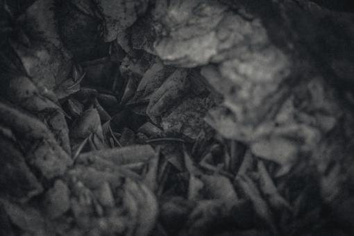 Free Stock Photo of Grunge Dark Rock Crystal