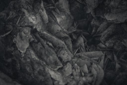 Free Stock Photo of Grungy Rock Crystals
